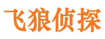 楚州市私家侦探